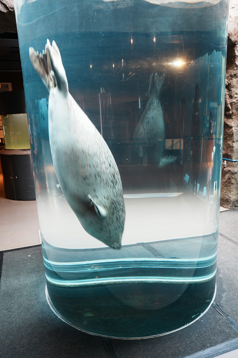 2026 北海道12天小蜜月 (中)『美瑛 & 旭川自駕遊』