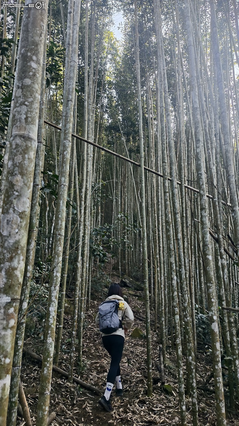 新竹冷門登山路線 | 滿滿竹林 |鬼澤山