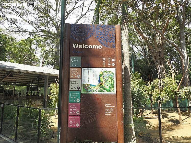 黃金海岸之庫倫濱野生動物園 (Currumbin Wildlife Sanctuary)、伯利角沙灘 (Burleigh Beach Cove)、大嘴鳥餵食秀(Pelican Feeding),附掛澳式炸魚餐與越南河粉料理 — 2026東澳洲四大城巡遊之黃金海岸段 第1部
