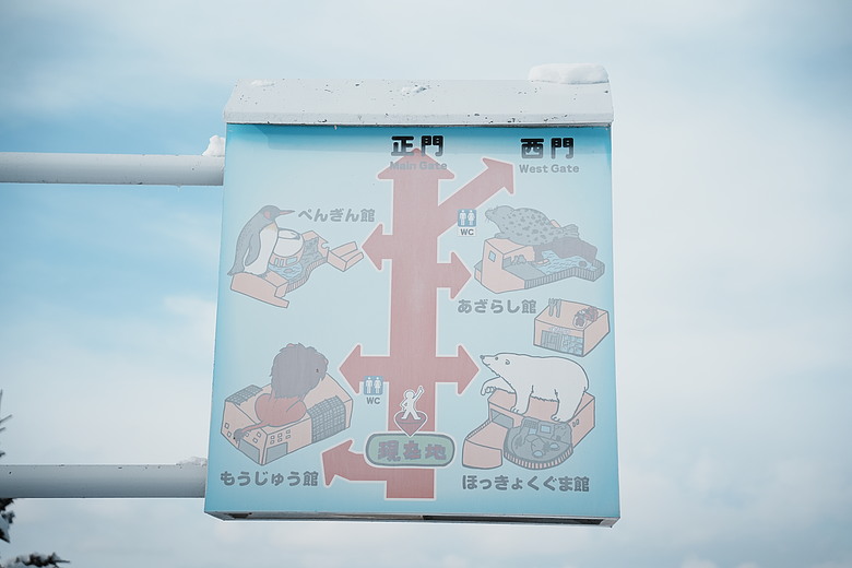 2026 北海道12天小蜜月 (中)『美瑛 & 旭川自駕遊』