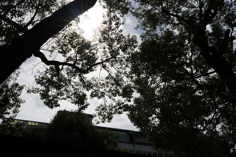 Sigma 35mm F1.4 DG II Art 評測報告｜輕量化有感、更有光學硬實力！