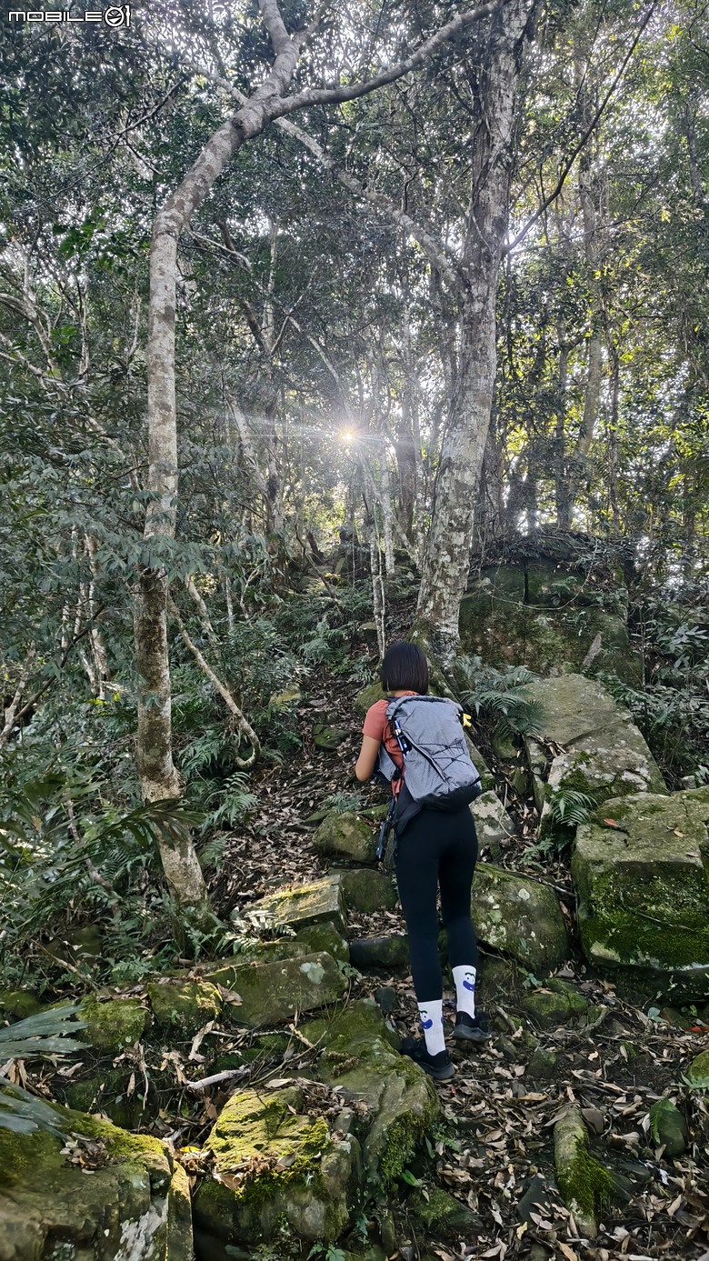 新竹冷門登山路線 | 滿滿竹林 |鬼澤山
