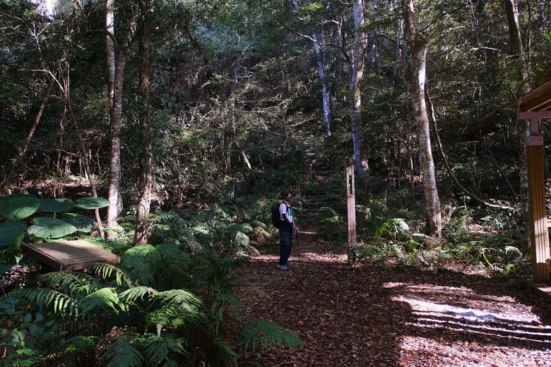 【芝虎縱走】滿山楓紅與砲台遺址的饗宴 |芝生毛台山 | 虎禮山