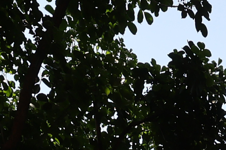 Canon RF 14mm F1.4L VCM 評測報告｜星野攝影首選、極致光學的巔峰之作！