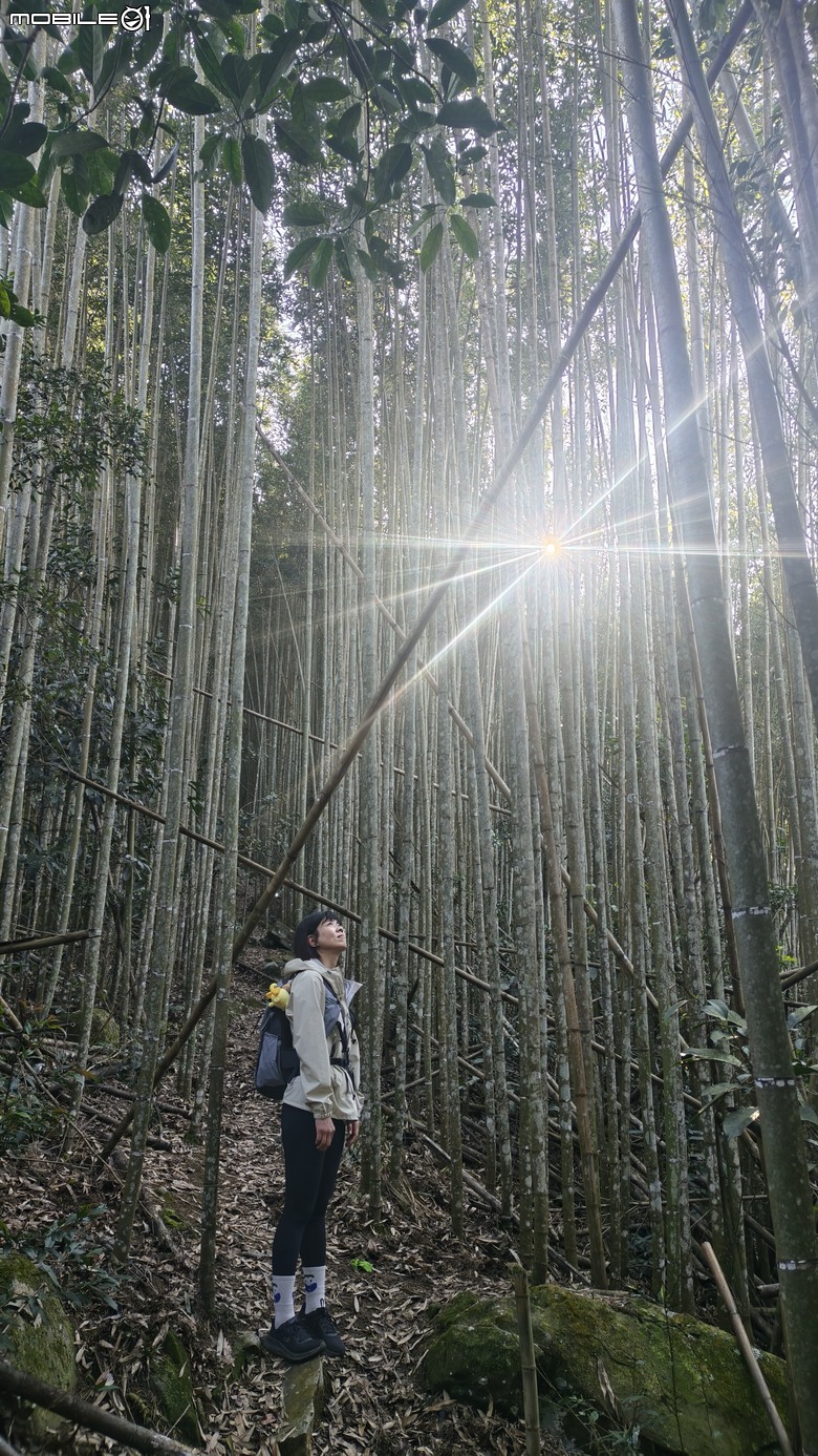 新竹冷門登山路線 | 滿滿竹林 |鬼澤山