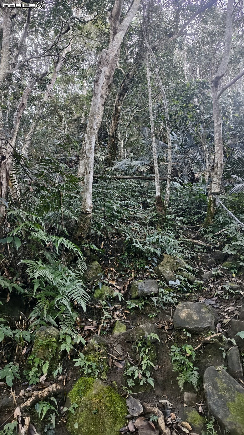 新竹冷門登山路線 | 滿滿竹林 |鬼澤山
