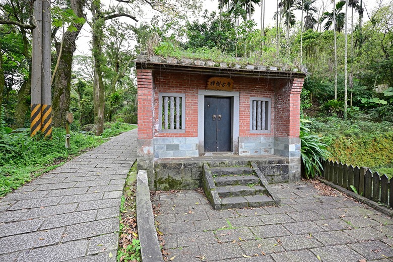 2026 台北大縱走第七段：櫻花魯冰花，山林裡的呼吸法