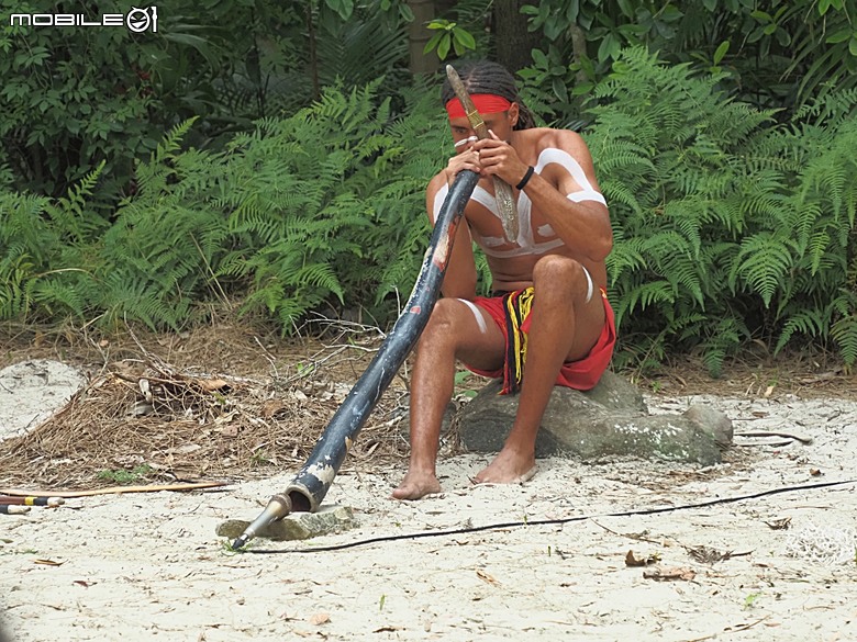 黃金海岸之庫倫濱野生動物園 (Currumbin Wildlife Sanctuary)、伯利角沙灘 (Burleigh Beach Cove)、大嘴鳥餵食秀(Pelican Feeding),附掛澳式炸魚餐與越南河粉料理 — 2026東澳洲四大城巡遊之黃金海岸段 第1部