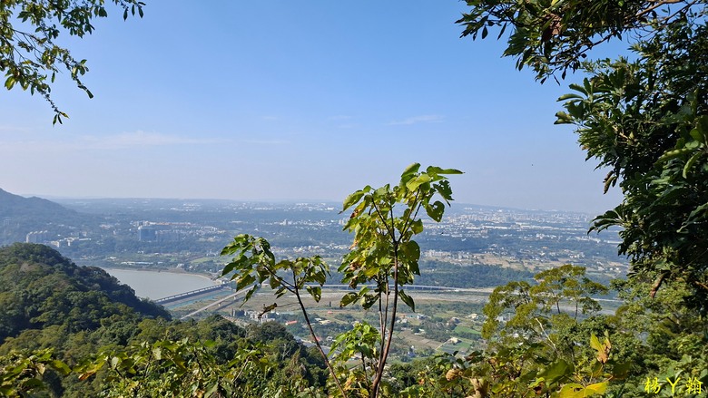 【台灣小百岳】溪洲山、 新溪洲山、大溪月眉落羽松正當時