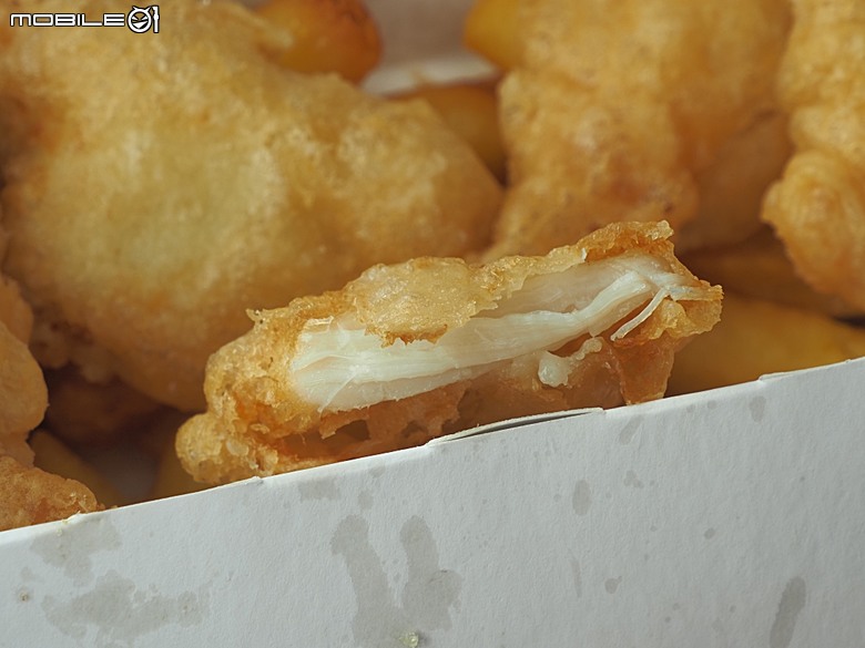 黃金海岸之庫倫濱野生動物園 (Currumbin Wildlife Sanctuary)、伯利角沙灘 (Burleigh Beach Cove)、大嘴鳥餵食秀(Pelican Feeding),附掛澳式炸魚餐與越南河粉料理 — 2026東澳洲四大城巡遊之黃金海岸段 第1部