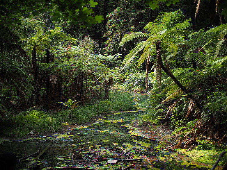 M43散景之瞳－Speedmaster 25mm f0.95 with EM10-iii 紐西蘭哈比屯開箱