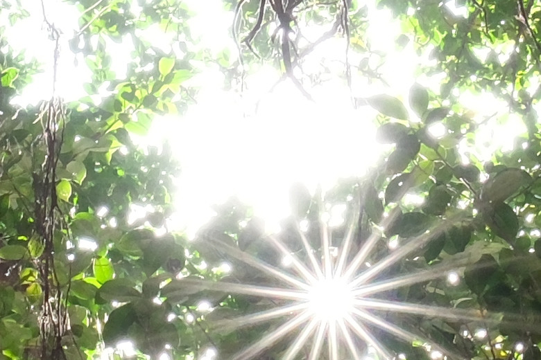 Sigma 15mm F1.4 DC Contemporary 評測報告｜黃金視角與極致輕巧的完美結合 ft. X-E5