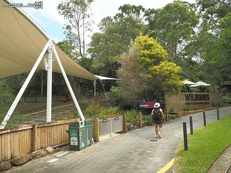 黃金海岸之庫倫濱野生動物園 (Currumbin Wildlife Sanctuary)、伯利角沙灘 (Burleigh Beach Cove)、大嘴鳥餵食秀(Pelican Feeding),附掛澳式炸魚餐與越南河粉料理 — 2026東澳洲四大城巡遊之黃金海岸段 第1部