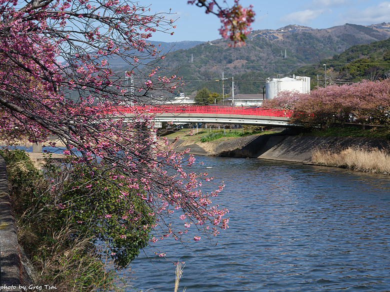 中片幅一億像素對決 - 富士 vs 哈蘇