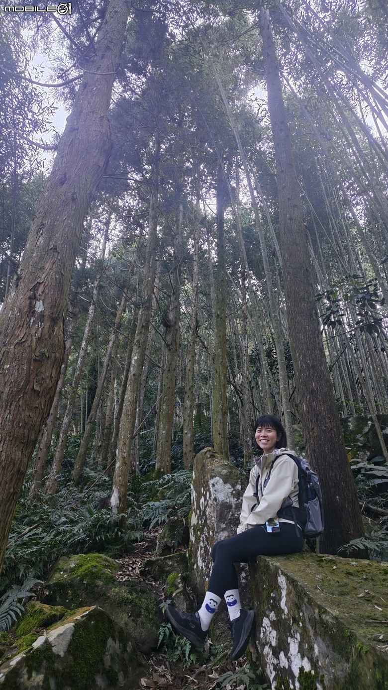 新竹冷門登山路線 | 滿滿竹林 |鬼澤山