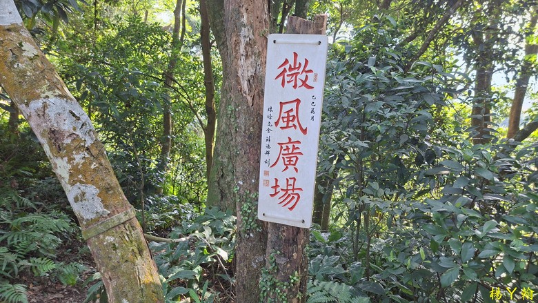 【台灣小百岳】溪洲山、 新溪洲山、大溪月眉落羽松正當時