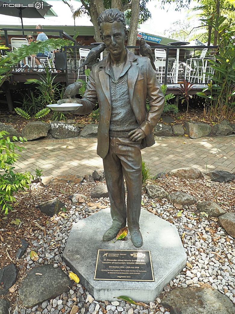 黃金海岸之庫倫濱野生動物園 (Currumbin Wildlife Sanctuary)、伯利角沙灘 (Burleigh Beach Cove)、大嘴鳥餵食秀(Pelican Feeding),附掛澳式炸魚餐與越南河粉料理 — 2026東澳洲四大城巡遊之黃金海岸段 第1部