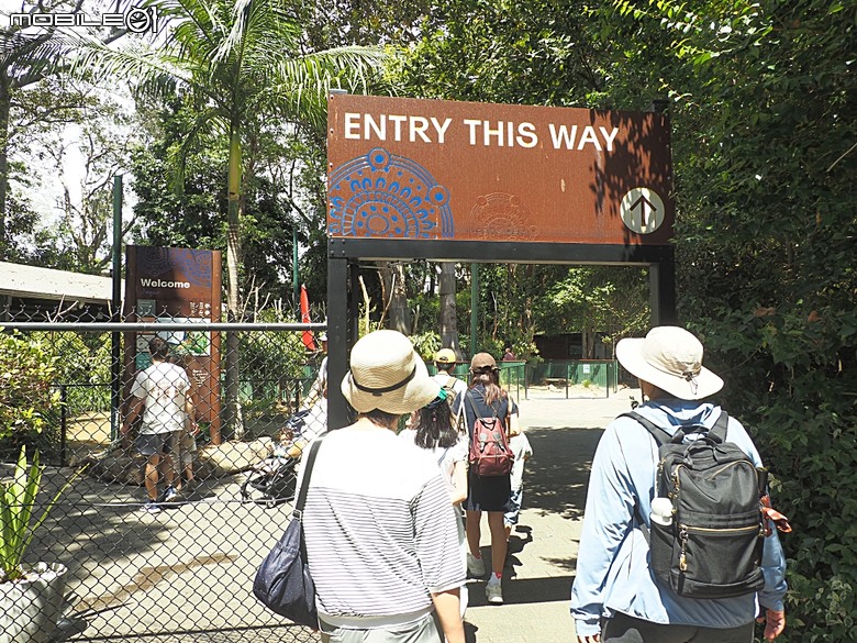黃金海岸之庫倫濱野生動物園 (Currumbin Wildlife Sanctuary)、伯利角沙灘 (Burleigh Beach Cove)、大嘴鳥餵食秀(Pelican Feeding),附掛澳式炸魚餐與越南河粉料理 — 2026東澳洲四大城巡遊之黃金海岸段 第1部