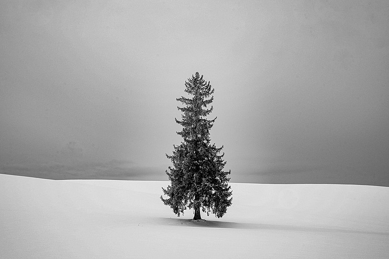 2026 北海道12天小蜜月 (中)『美瑛 & 旭川自駕遊』