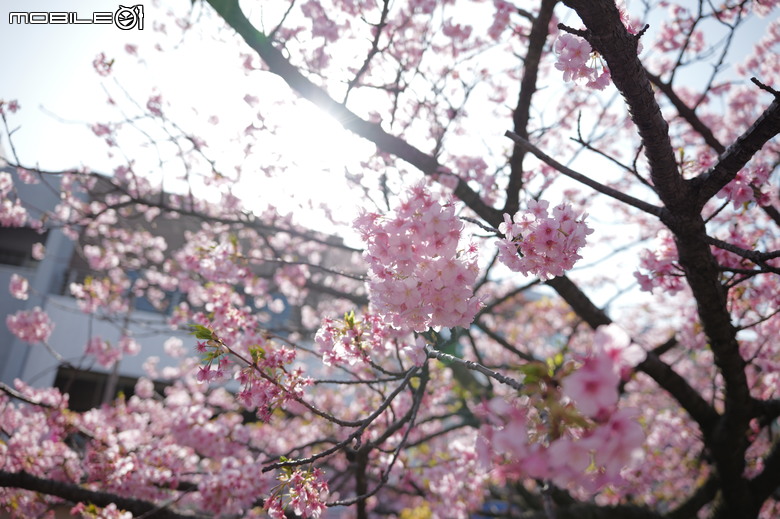 徠卡 Leica SL3 的日本東北之旅