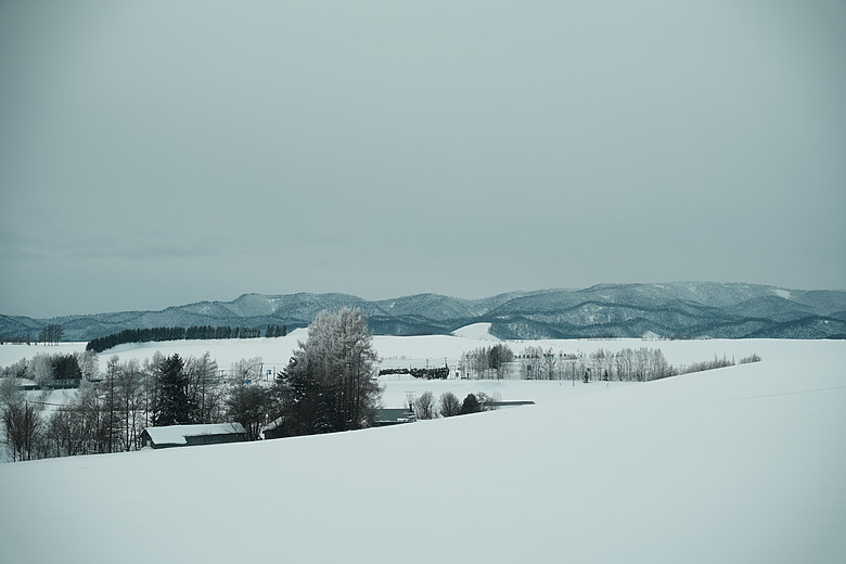 2026 北海道12天小蜜月 (中)『美瑛 & 旭川自駕遊』
