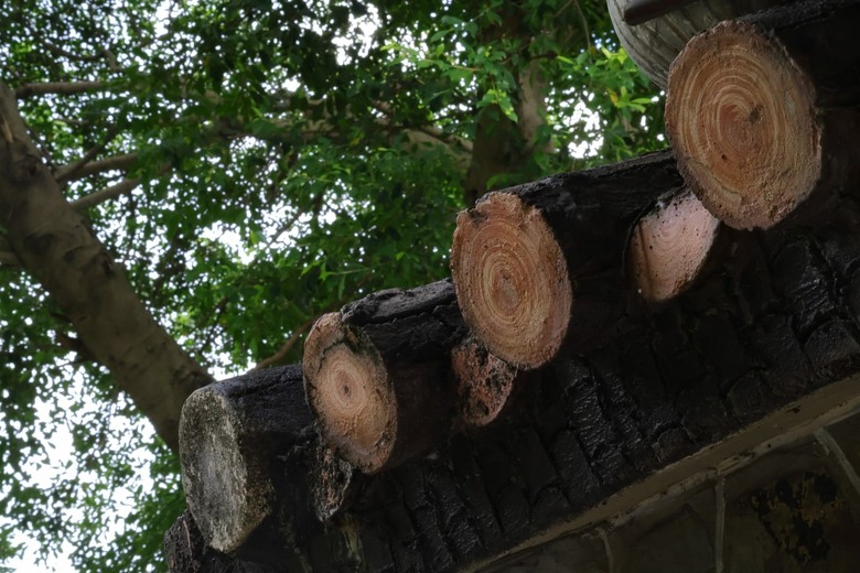 【遊記】第二章，誰說到「國立故宮博物院」一定要看「文物」，雙溪公園 - 大漠國渡