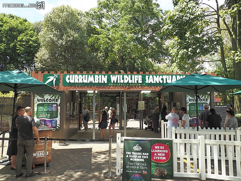 黃金海岸之庫倫濱野生動物園 (Currumbin Wildlife Sanctuary)、伯利角沙灘 (Burleigh Beach Cove)、大嘴鳥餵食秀(Pelican Feeding),附掛澳式炸魚餐與越南河粉料理 — 2026東澳洲四大城巡遊之黃金海岸段 第1部