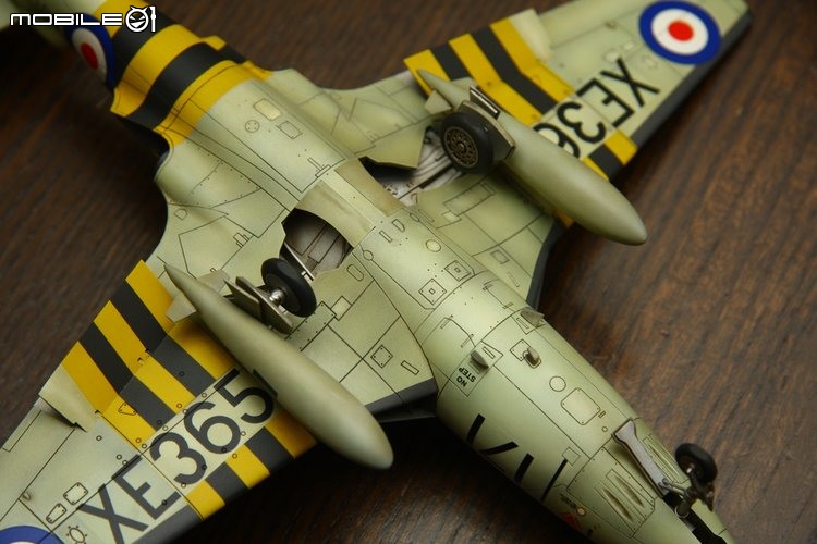 [模型製作記] 英國海鷹式戰鬥機 Hawker Sea Hawk 1/48