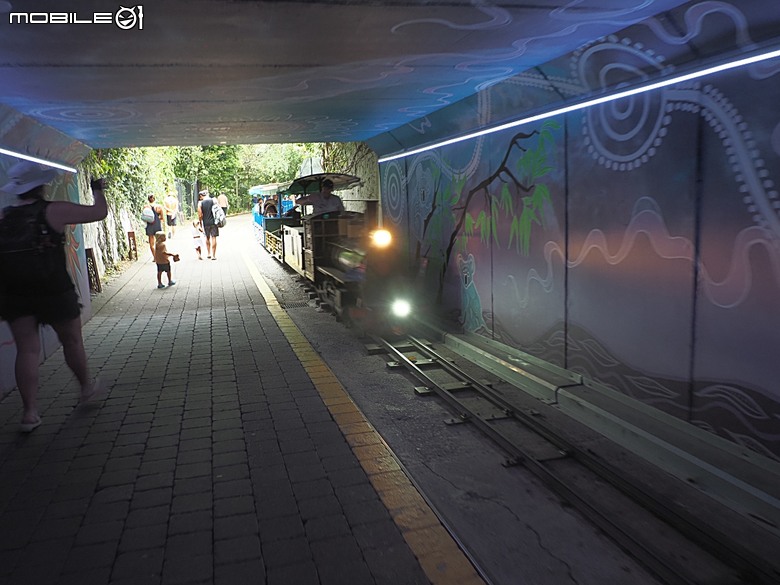 黃金海岸之庫倫濱野生動物園 (Currumbin Wildlife Sanctuary)、伯利角沙灘 (Burleigh Beach Cove)、大嘴鳥餵食秀(Pelican Feeding),附掛澳式炸魚餐與越南河粉料理 — 2026東澳洲四大城巡遊之黃金海岸段 第1部