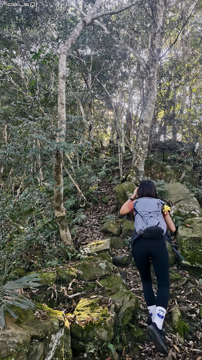 新竹冷門登山路線 | 滿滿竹林 |鬼澤山