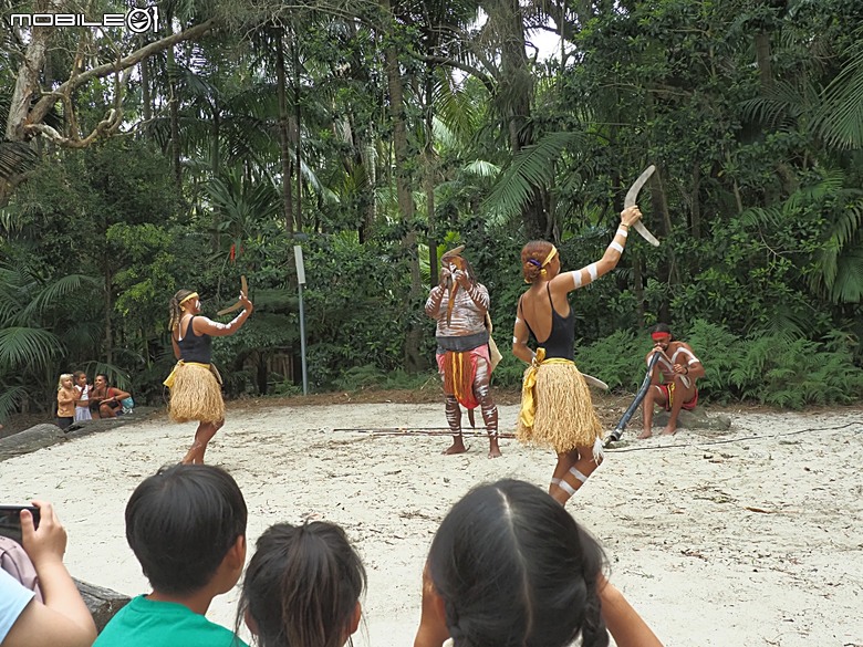 黃金海岸之庫倫濱野生動物園 (Currumbin Wildlife Sanctuary)、伯利角沙灘 (Burleigh Beach Cove)、大嘴鳥餵食秀(Pelican Feeding),附掛澳式炸魚餐與越南河粉料理 — 2026東澳洲四大城巡遊之黃金海岸段 第1部