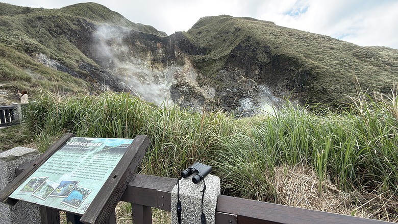 透過望遠鏡觀察樹枝上的鳥類