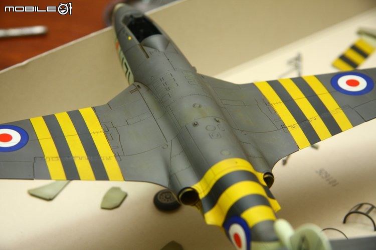 [模型製作記] 英國海鷹式戰鬥機 Hawker Sea Hawk 1/48