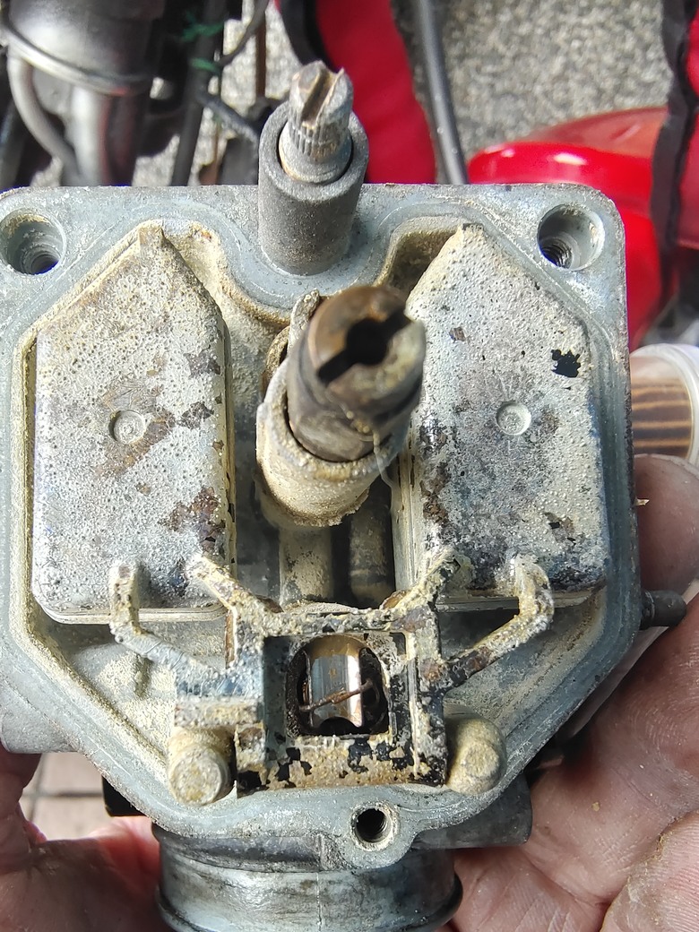 把握當下－－小雲豹摩托車環島出走(1)