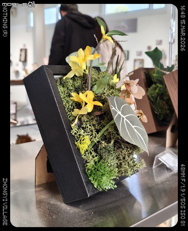 Nothing Phone (4a) 系列評測：金屬機身、潛望長焦，重新定義中階旗艦？