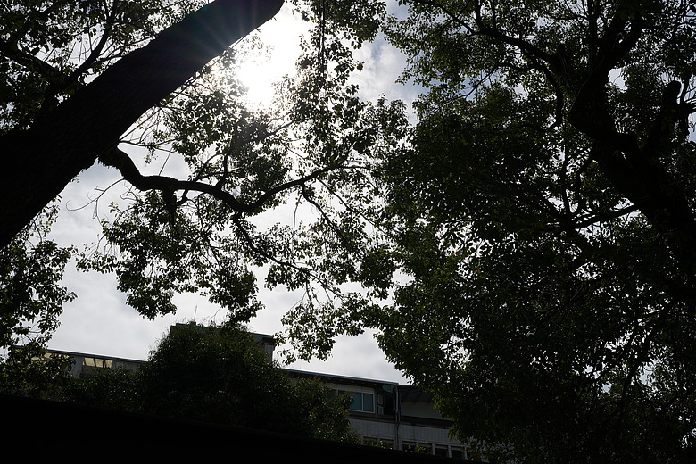 Sigma 35mm F1.4 DG II Art 評測報告｜輕量化有感、更有光學硬實力！