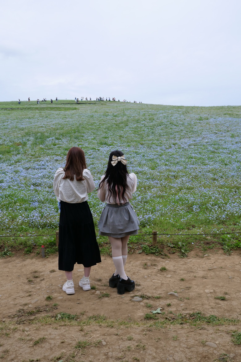国営ひたち海浜公園 足利花卉公園 一日雙園行