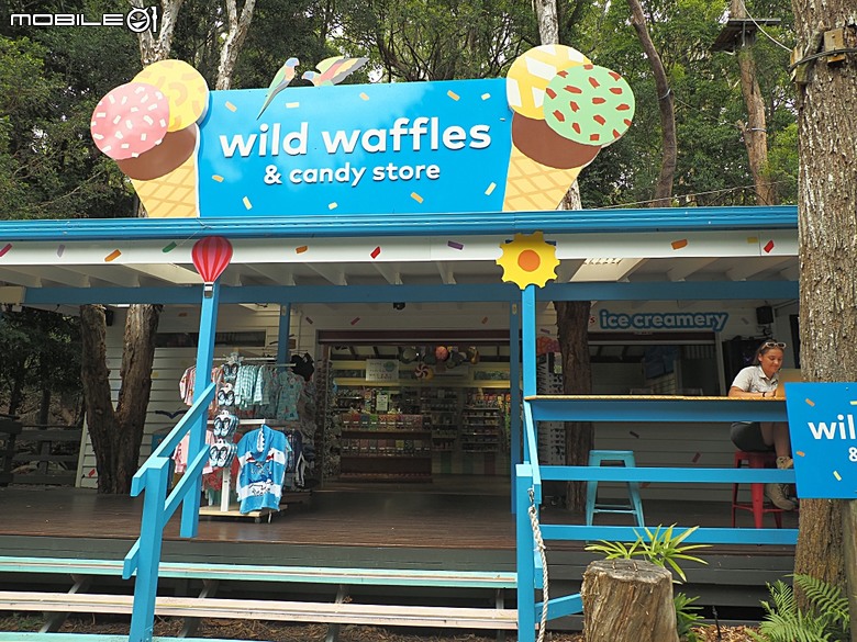 黃金海岸之庫倫濱野生動物園 (Currumbin Wildlife Sanctuary)、伯利角沙灘 (Burleigh Beach Cove)、大嘴鳥餵食秀(Pelican Feeding),附掛澳式炸魚餐與越南河粉料理 — 2026東澳洲四大城巡遊之黃金海岸段 第1部