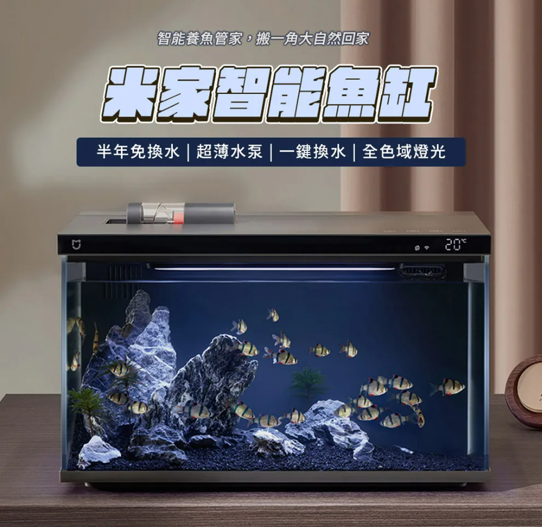 【贈送】玻璃魚缸 約34公升(45x25x30公分)