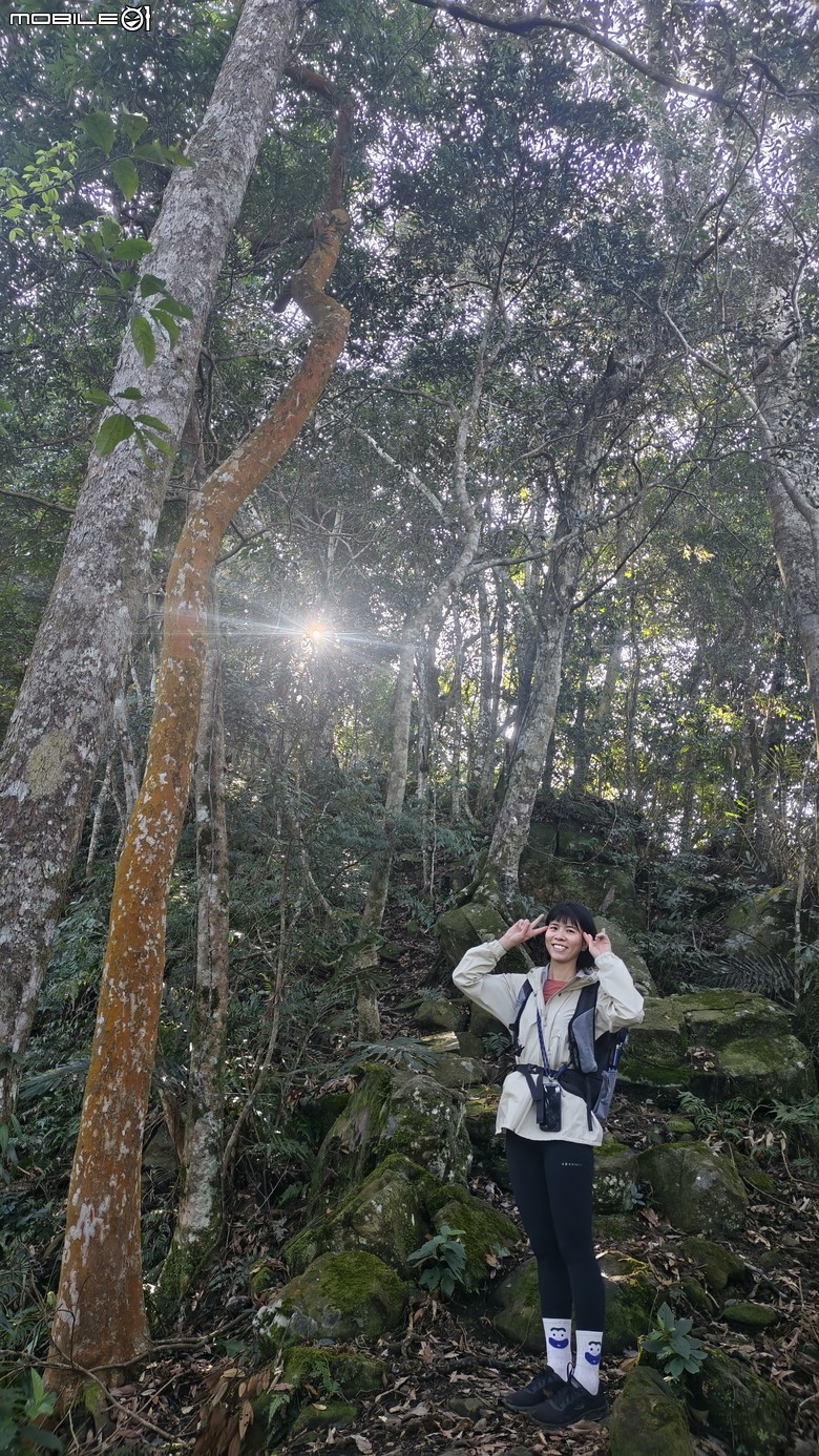 新竹冷門登山路線 | 滿滿竹林 |鬼澤山