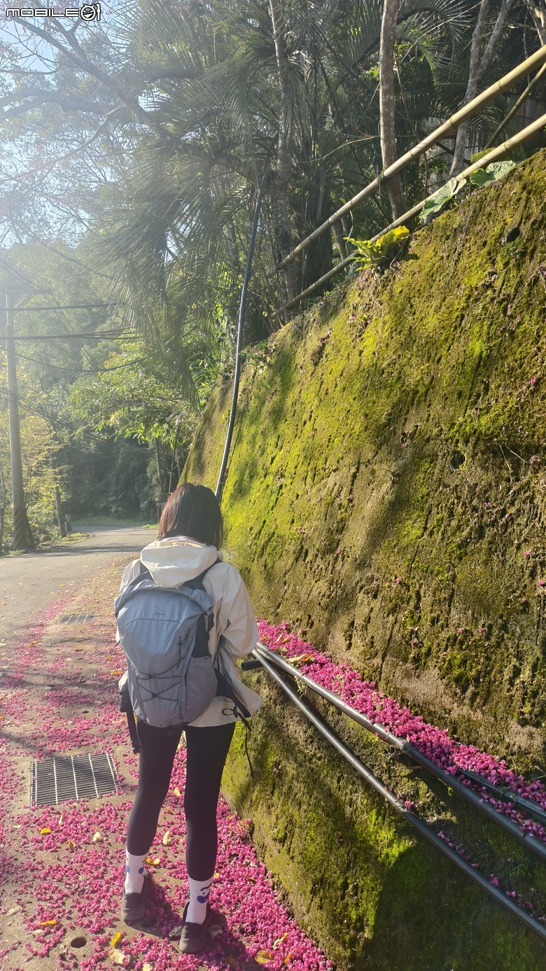 新竹冷門登山路線 | 滿滿竹林 |鬼澤山