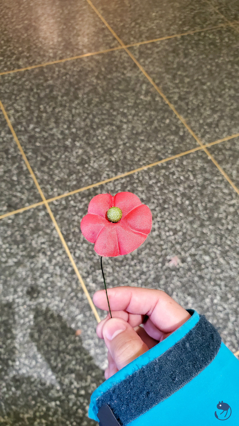 美國-阿靈頓|*每座白色石碑都是一段國家記憶* 阿靈頓國家公墓 Arlington National Cemetery