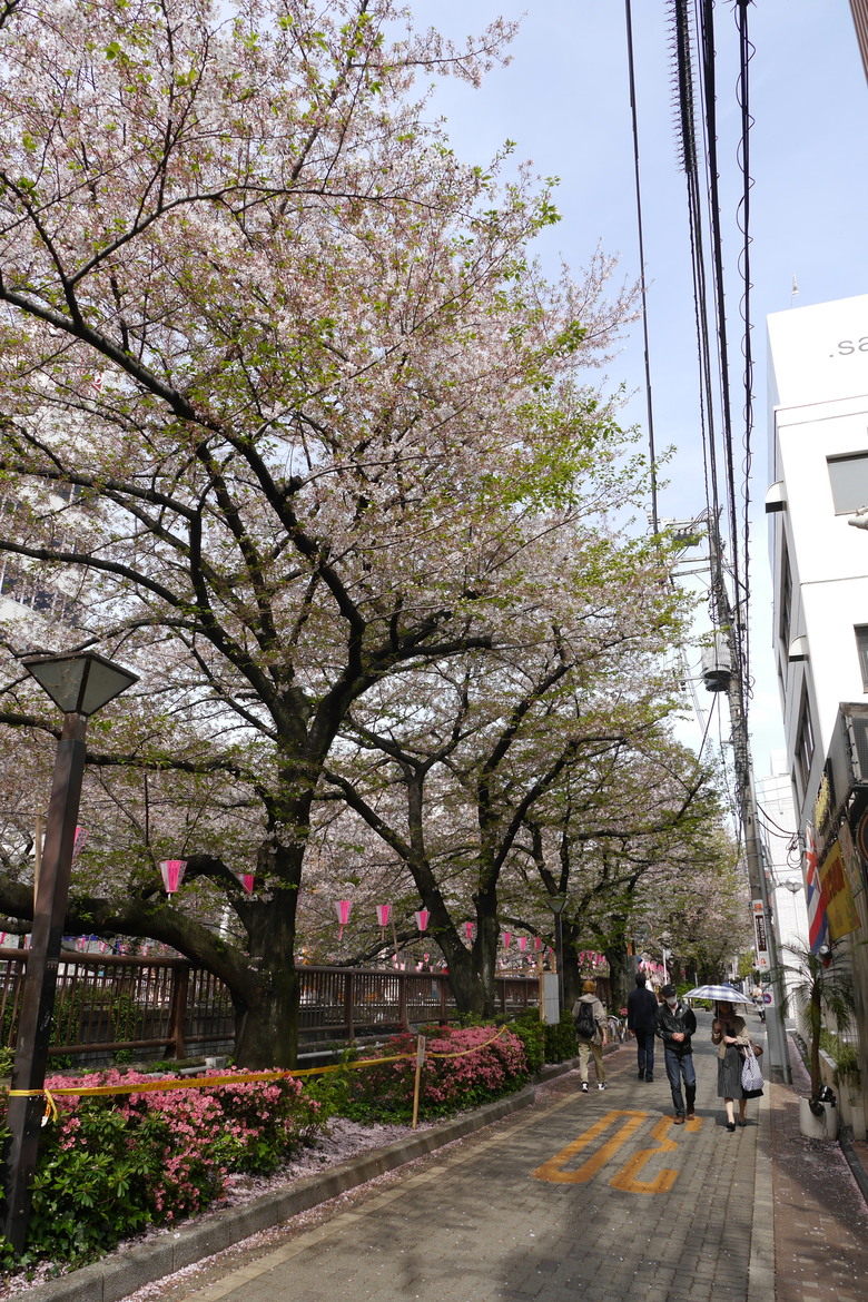 東京街頭映像