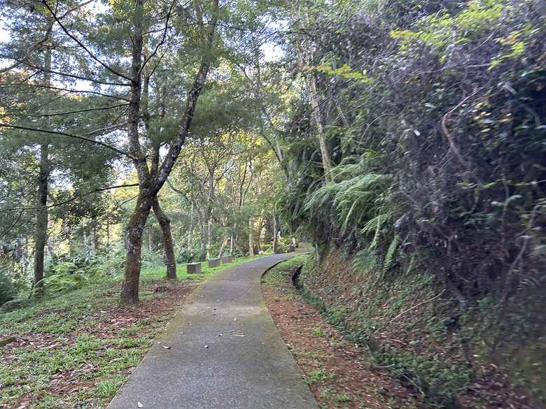 日 月 潭 水 社 自 行 車 道