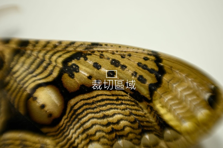 Part1. Z70-200mm f2.8SII 小黑Z的終極進化-深度解析及一代對比