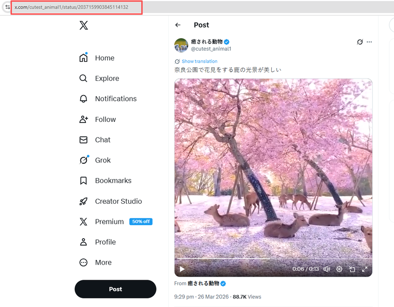 2026 推特影片下載方法大匯整