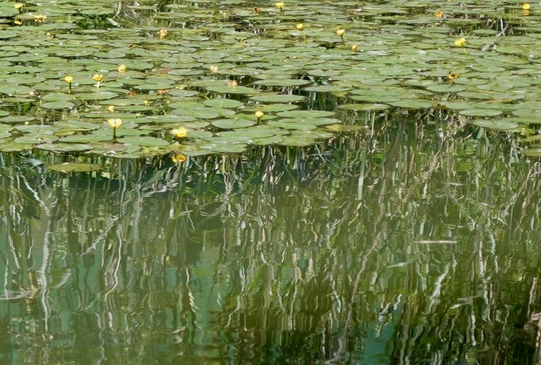 迴龍-鶯歌-碧龍宮-牛灶坑山-妙音寺-桃園,順O Element City Tour