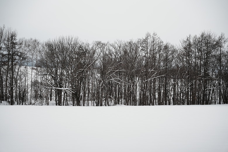 2026 北海道12天小蜜月 (中)『美瑛 & 旭川自駕遊』