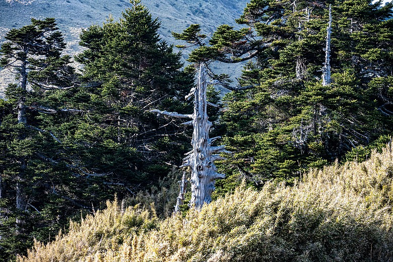石門山漫步行