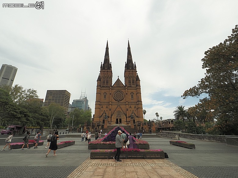 雪梨塔(Sydney Tower Eye) 、海德公園(Hyde Park)、雪梨聖母主教座堂(St Mary's Cathedral) 、維多利亞女王大廈(Queen Victoria Building)、雪梨市政廳(Sydney Town Hall)、聖安德烈座堂(St Andrew's Cathedral) — 2026東澳洲四大城巡遊之雪梨段 第3部